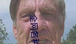 吃瓜网在线观看视频,热门视频在线观看，揭秘幕后故事